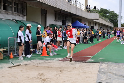 3H0A0914圖片