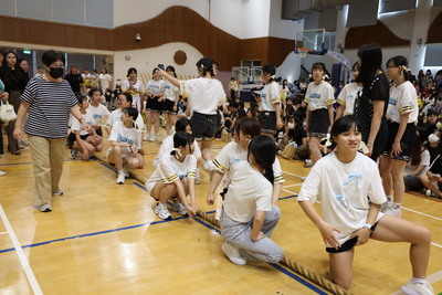 3H0A0515圖片