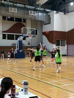 S__125640729_0圖片